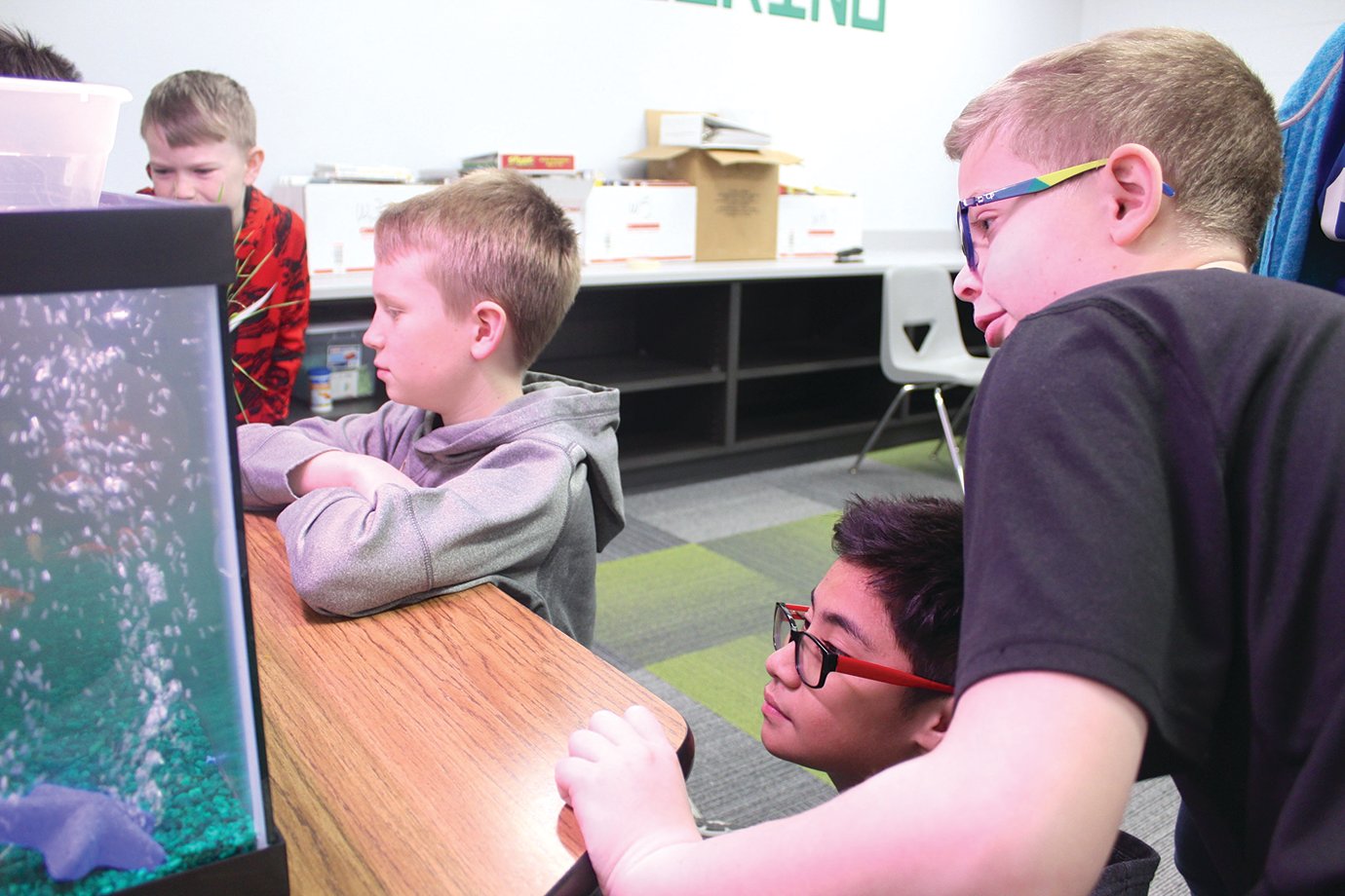 Ladoga fourth-grade students Tyler Thompson, from right, Keanu McQueen, Trent Reeves and Cooper Scott check on the status of the fish in a hydroponic project on Thursday. Students from all grades have been watching closely to see the self-contained ecosystem grow.